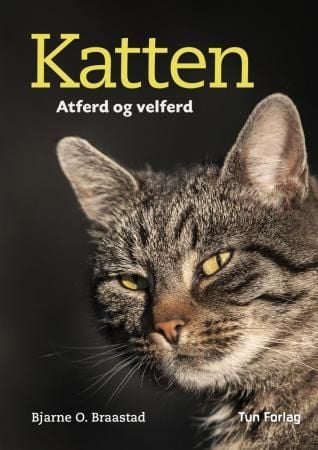 Katten