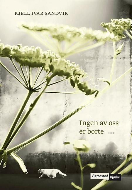 Ingen av oss er borte
