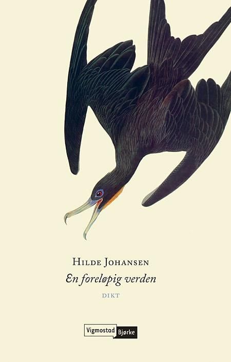 En foreløpig verden