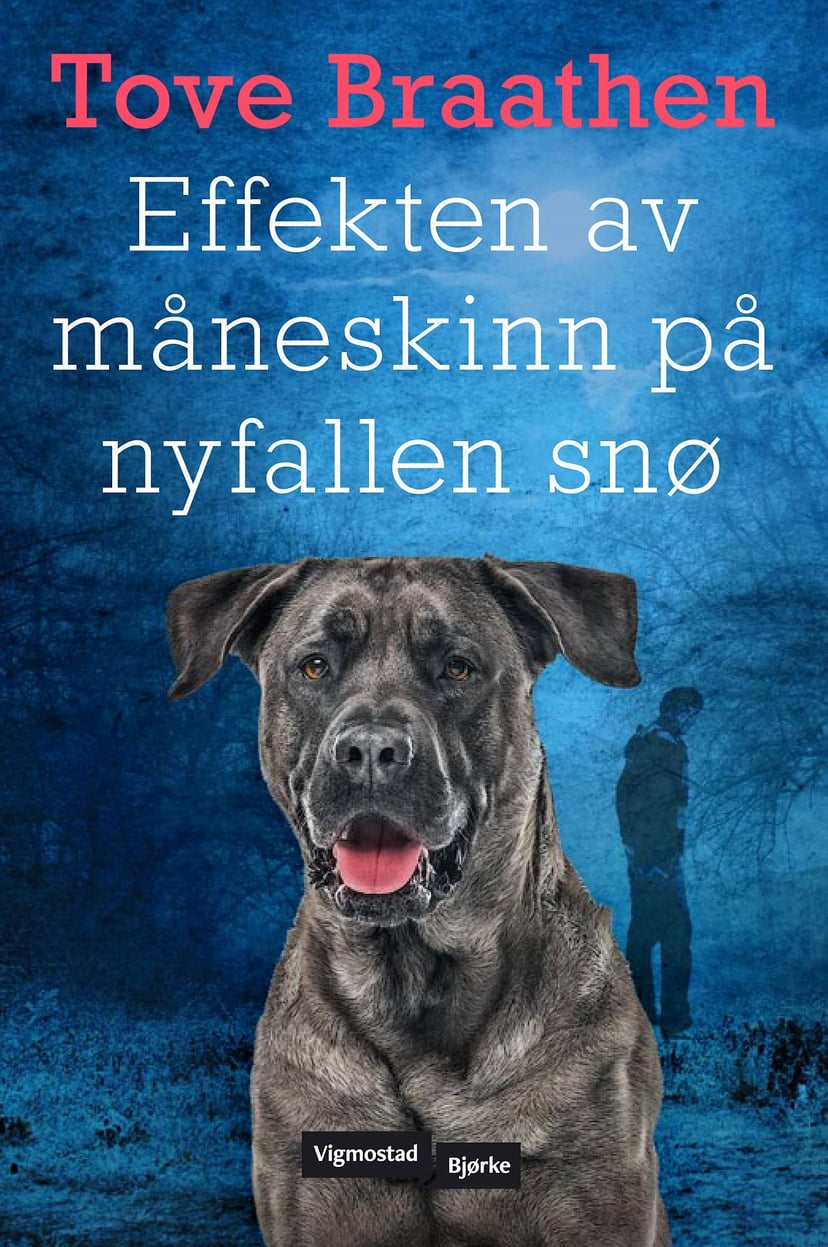 Effekten av måneskinn på nyfallen snø