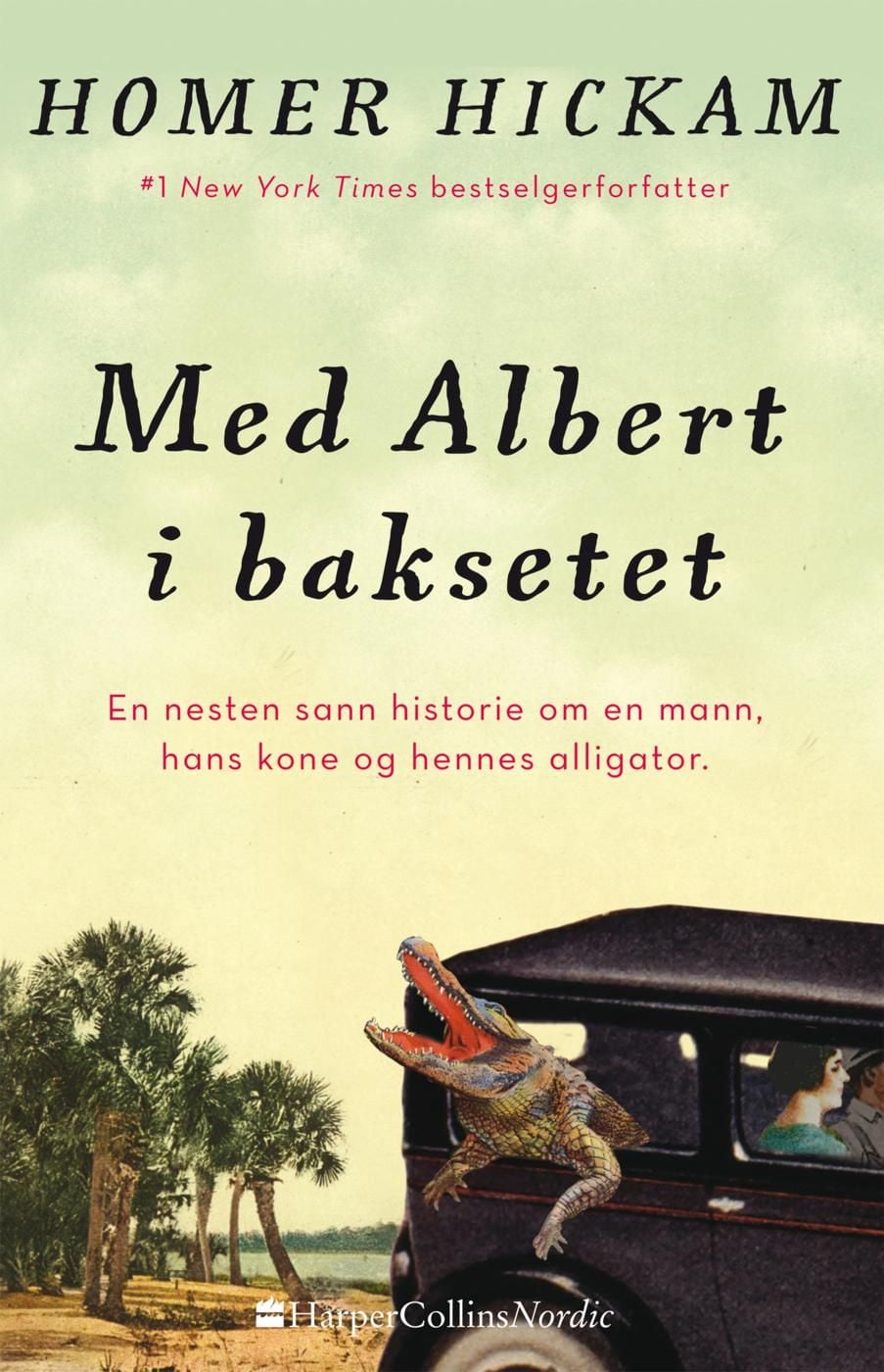 Med Albert i baksetet