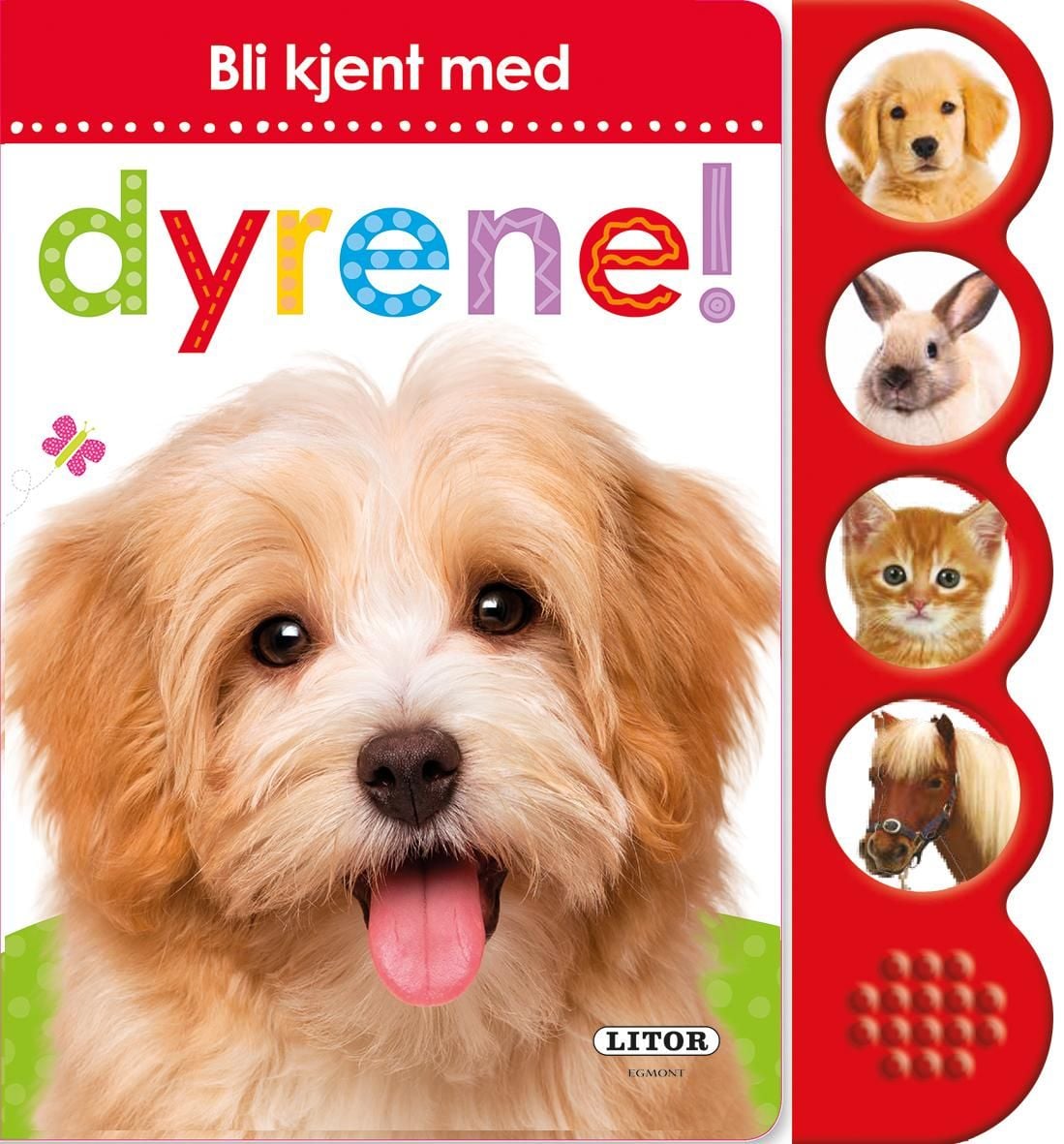 Bli kjent med dyrene!
