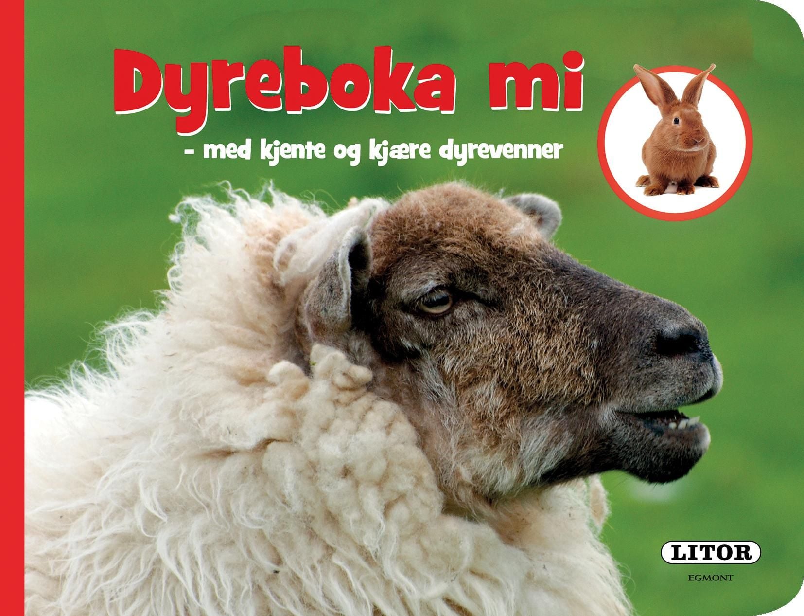 Dyreboka mi