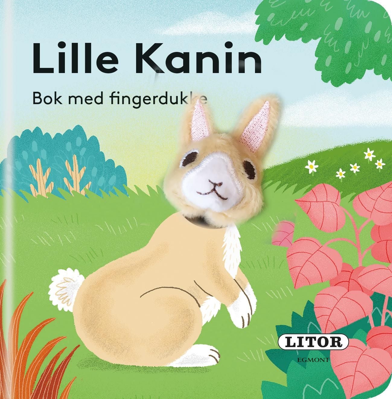 Lille kanin