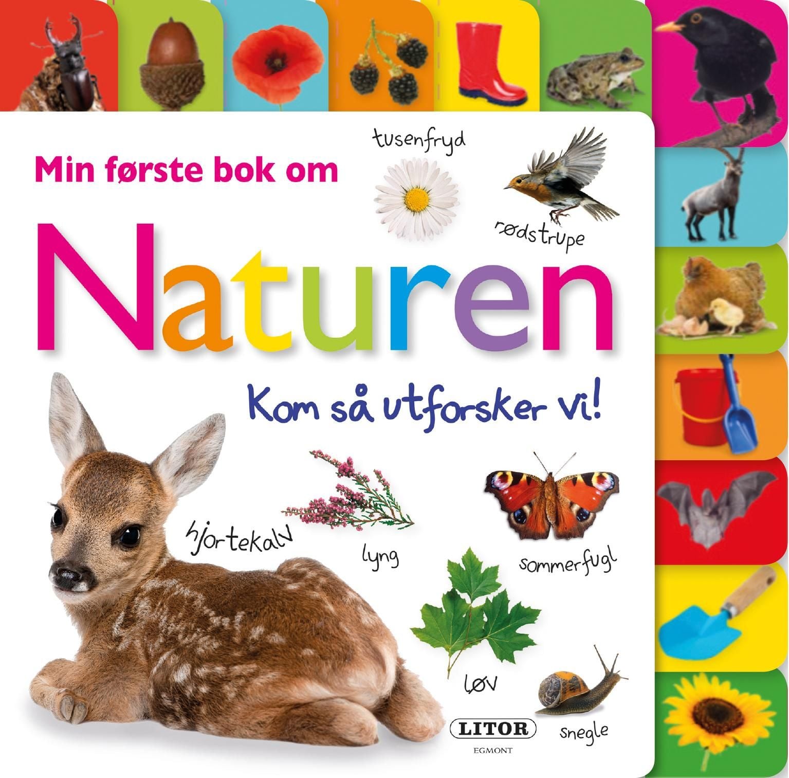 Min første bok om naturen