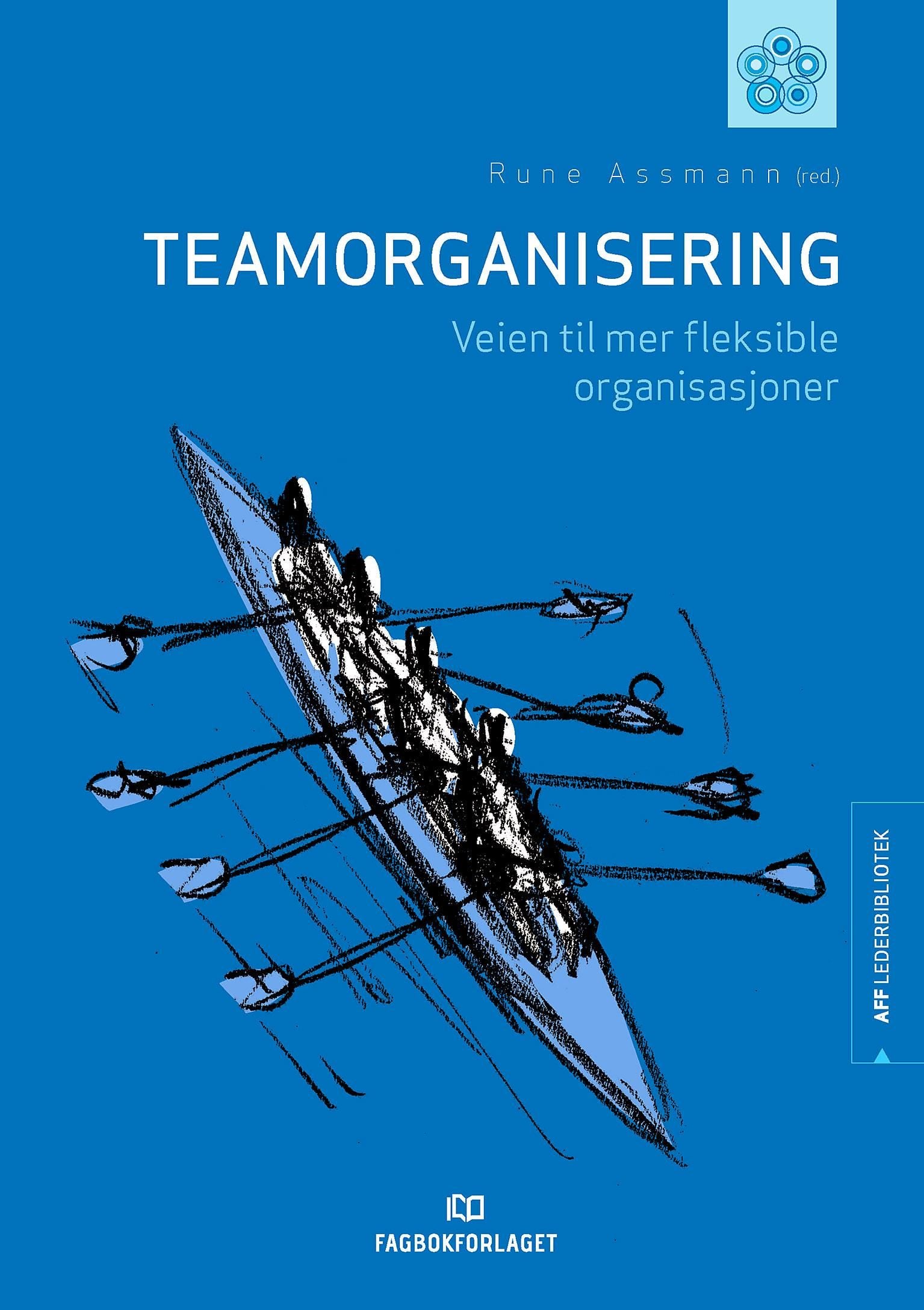 Teamorganisering