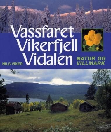Vassfaret, Vikerfjell, Vidalen