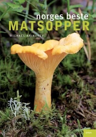 Norges beste matsopper