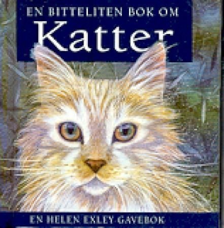 En bitteliten bok om katter