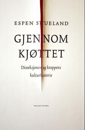 Gjennom kjøttet