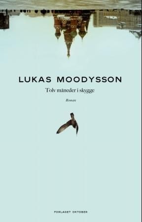 Tolv måneder i skygge