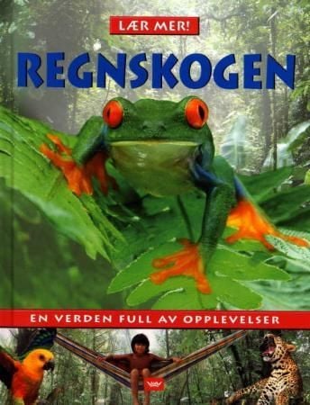 Regnskogen