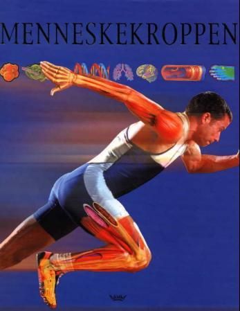 Menneskekroppen