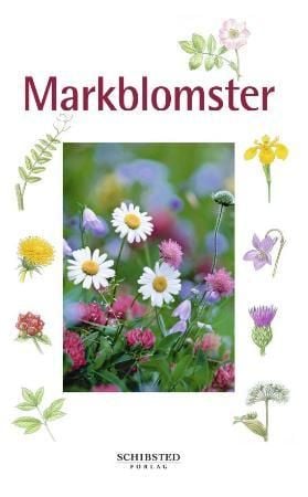 Markblomster