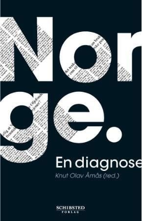 Norge, en diagnose