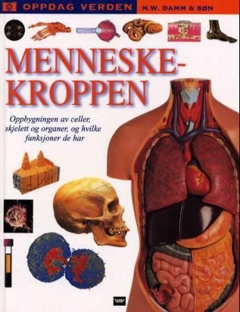Menneskekroppen