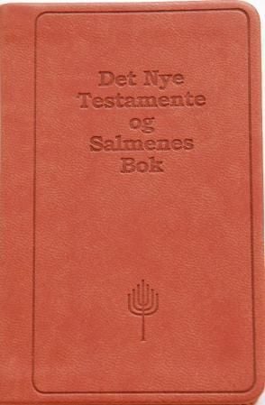 Det nye testamente og Salmenes bok