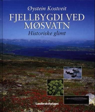 Fjellbygdi ved Møsvatn