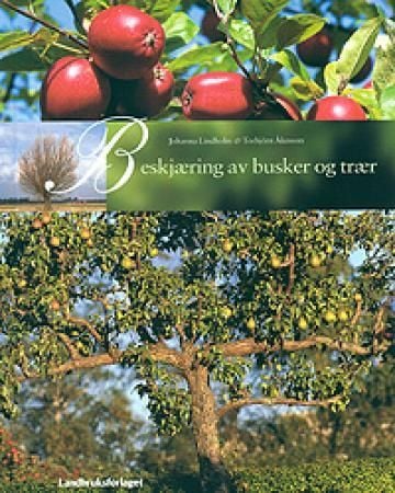 Beskjæring av busker og trær