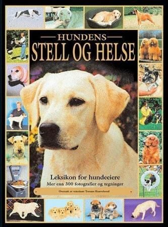 Hundens stell og helse