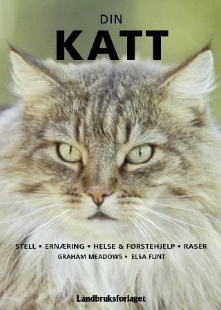 Din katt