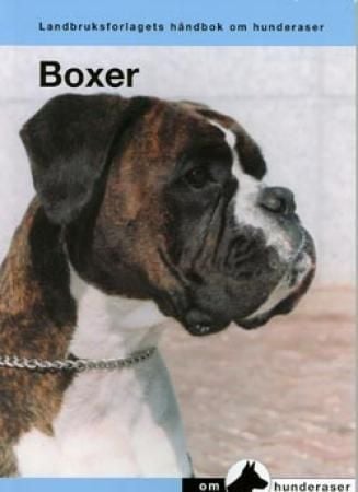 Boxer