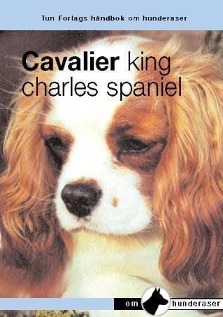 Cavalier king charles spaniel