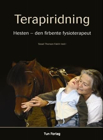 Terapiridning