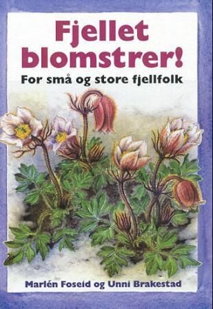 Fjellet blomstrer!
