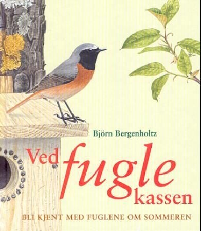 Ved fuglekassen