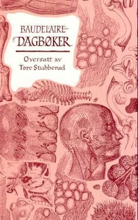 Dagbøker