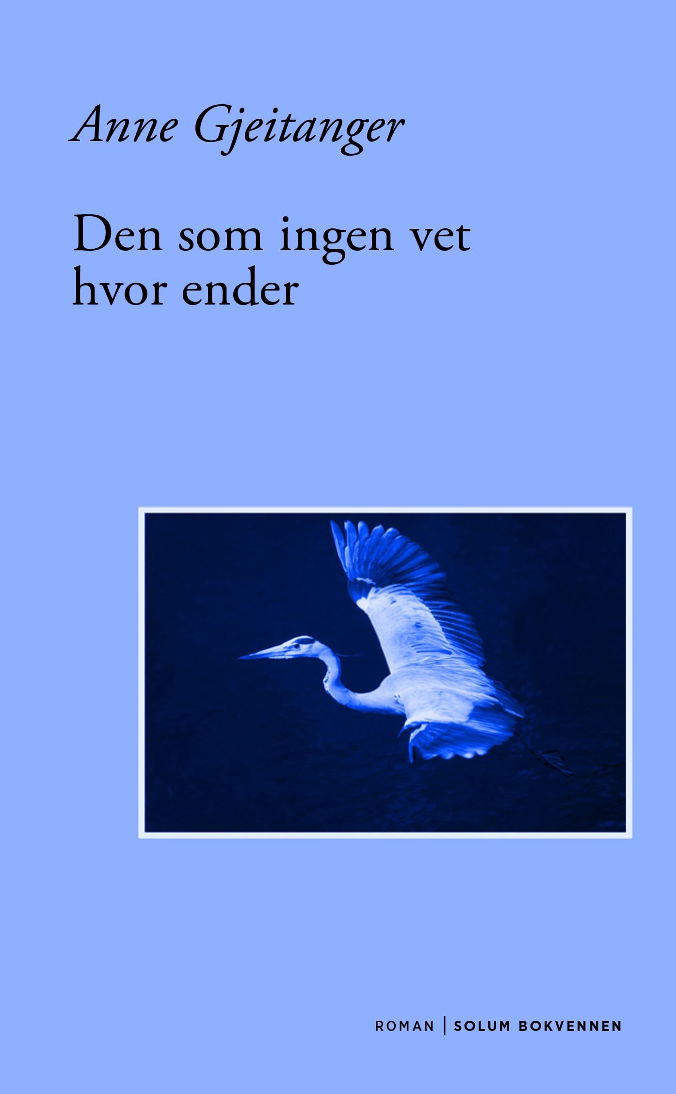 Den som ingen vet hvor ender