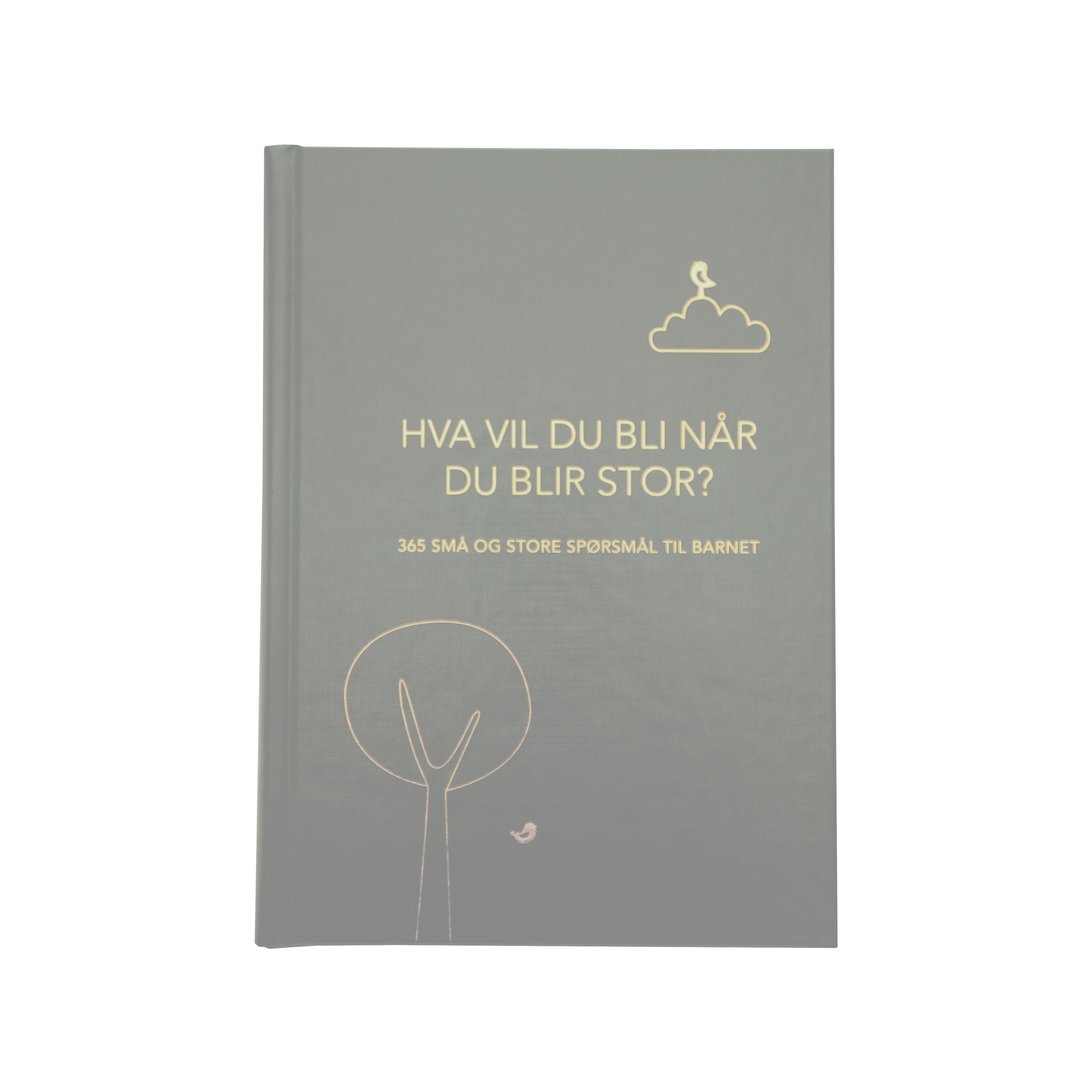Hva vil du bli når du blir stor? 365 små og store spørsmål til barnet. Grå utg.