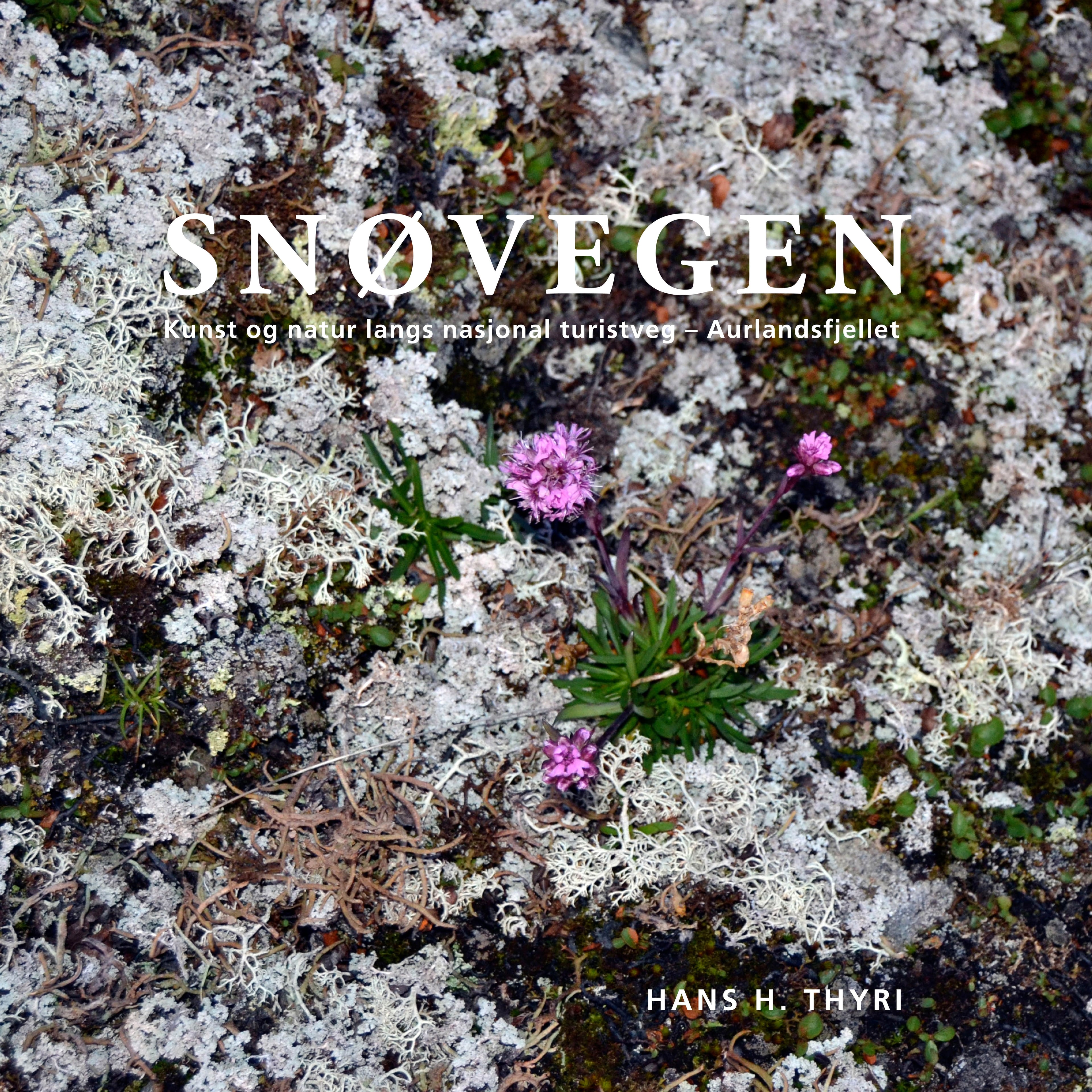 Snøvegen
