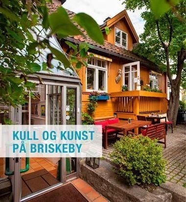 Kull og kunst på Briskeby