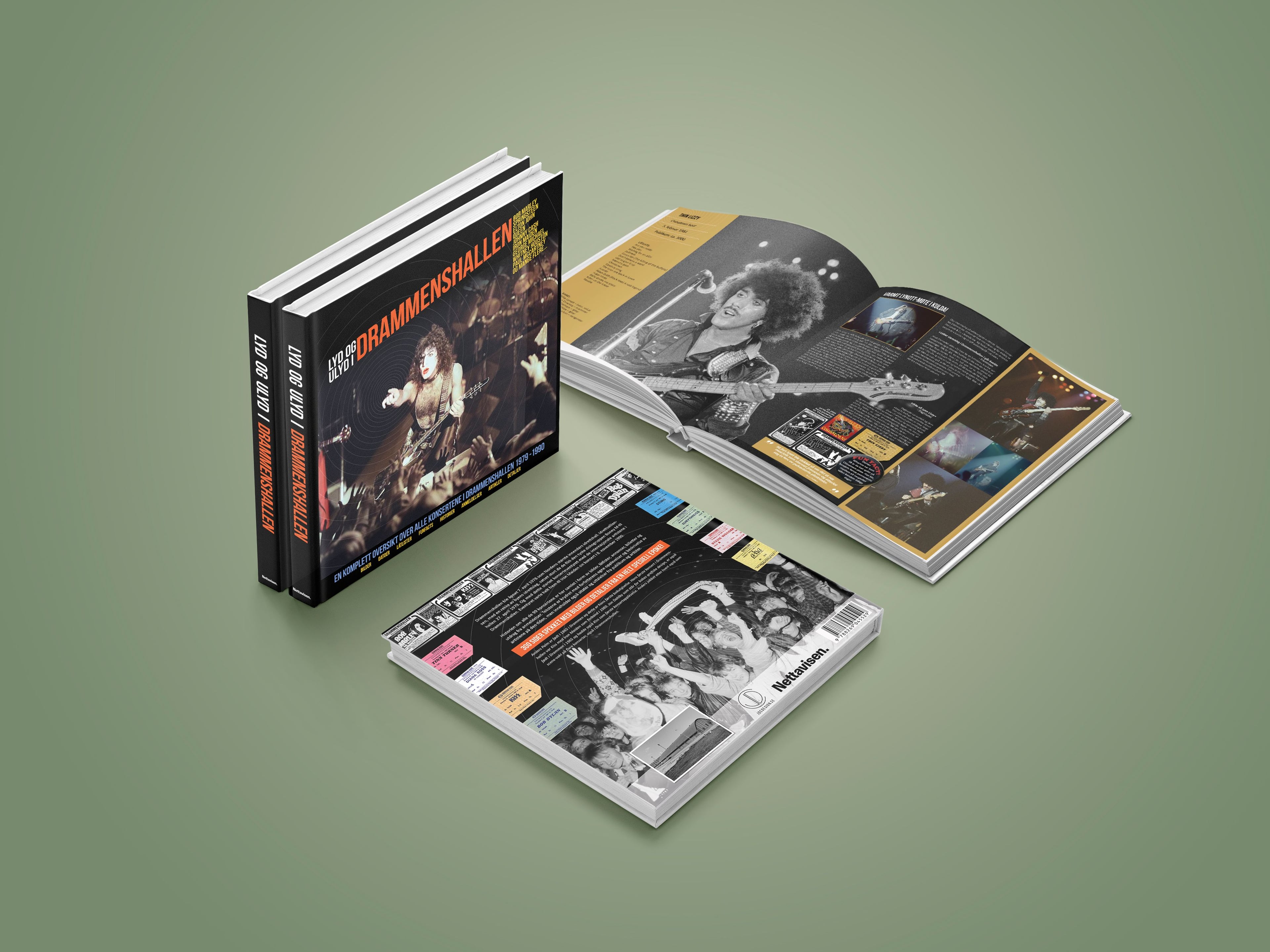 Lyd og ulyd i Drammenshallen