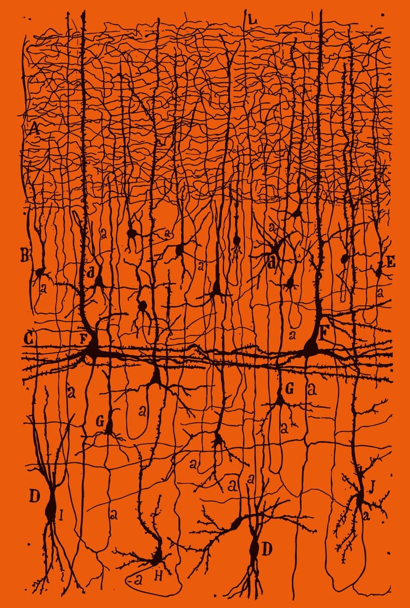 Parapoetica