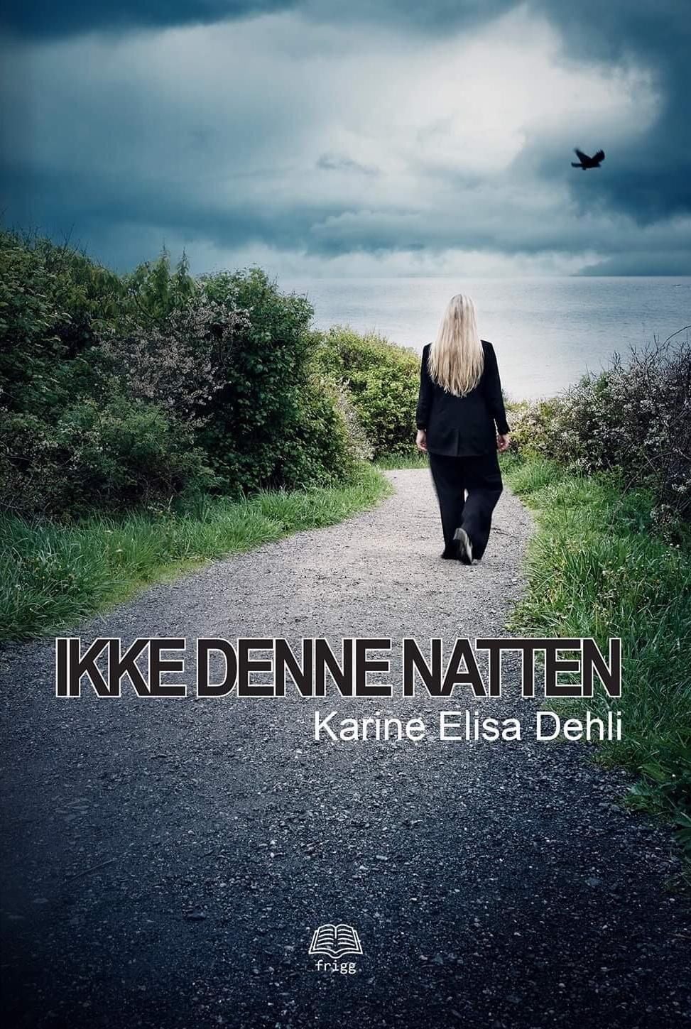 Ikke denne natten