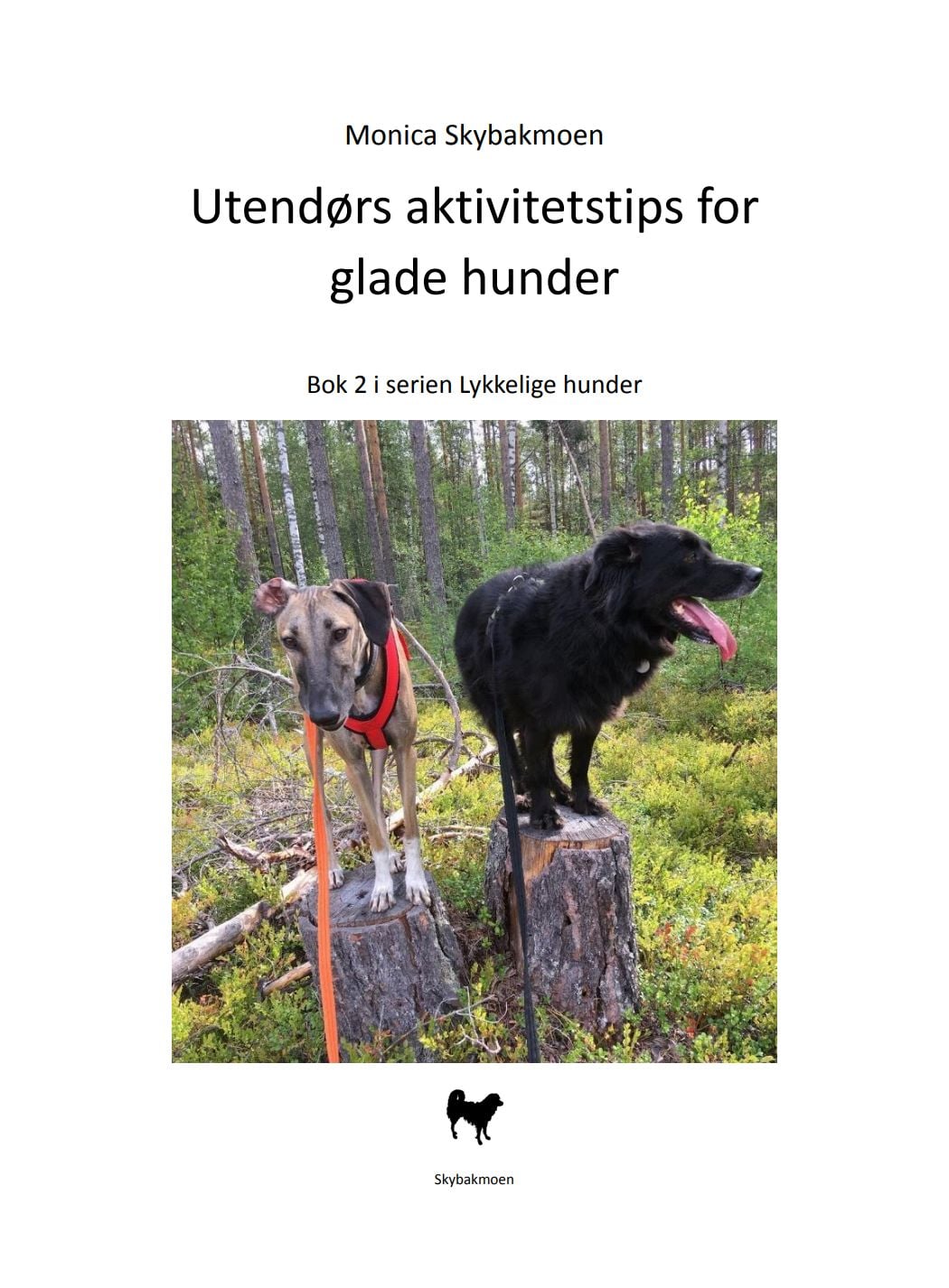 Utendørs aktivitetstips for glade hunder