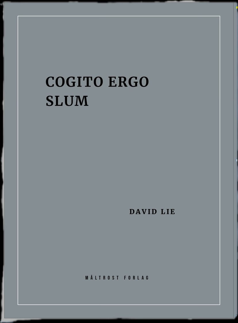 Cogito ergo slum