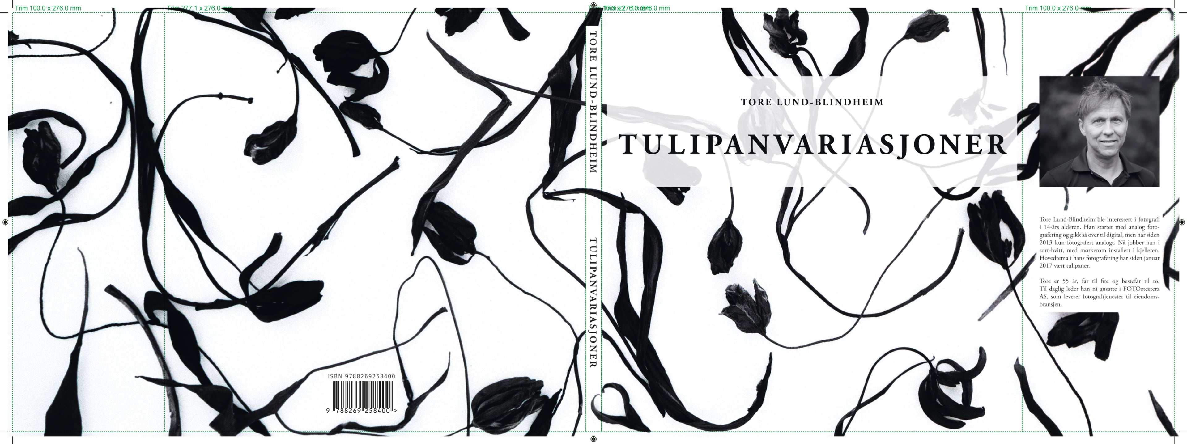 Tulipanvariasjoner