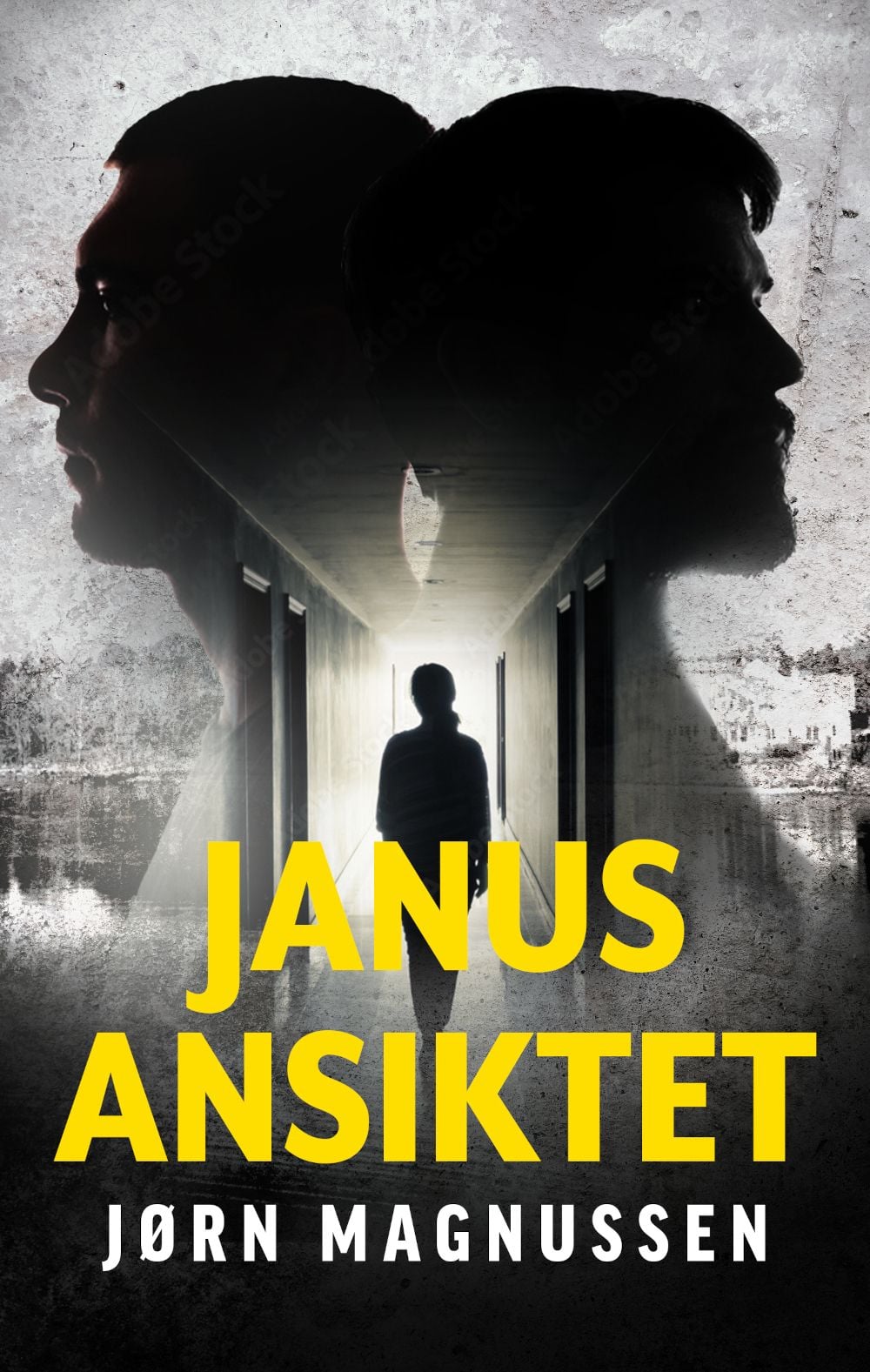 Janusansiktet