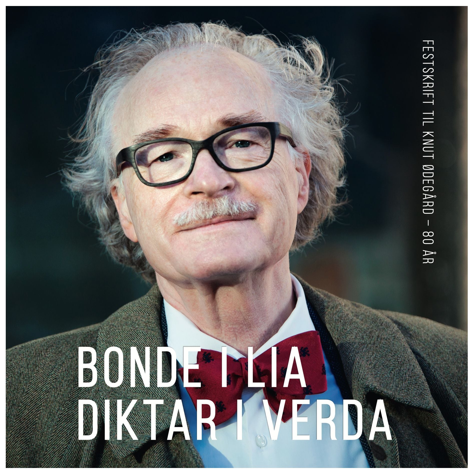 Bonde i Lia - diktar i verda