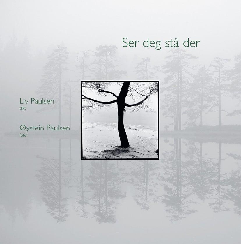 Ser deg stå der