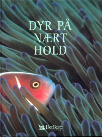 Dyr på nært hold
