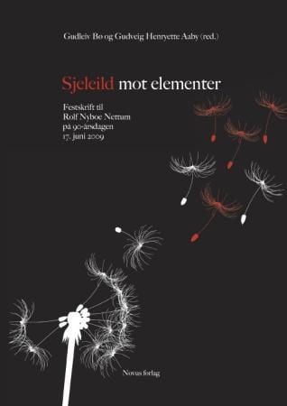 Sjeleild mot elementer