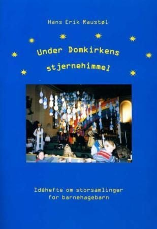 Under domkirkens stjernehimmel
