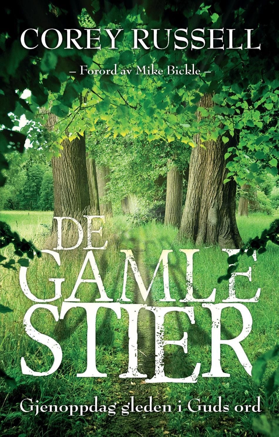 De gamle stier