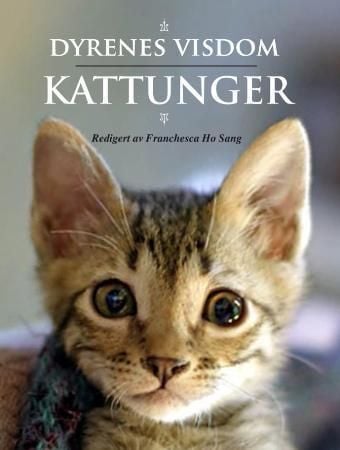 Kattunger