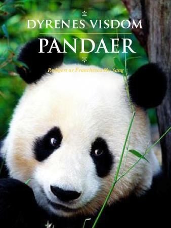 Pandaer